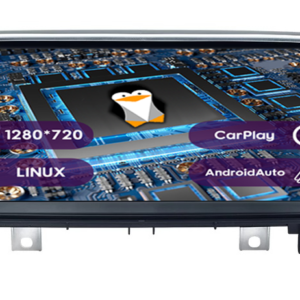 Navigatie dedicata BMW X1 F48, NBT, Display IPS 1280*720 10.25 inch, Linux, Carplay&Android Auto, Suport camere spate - imagine 1